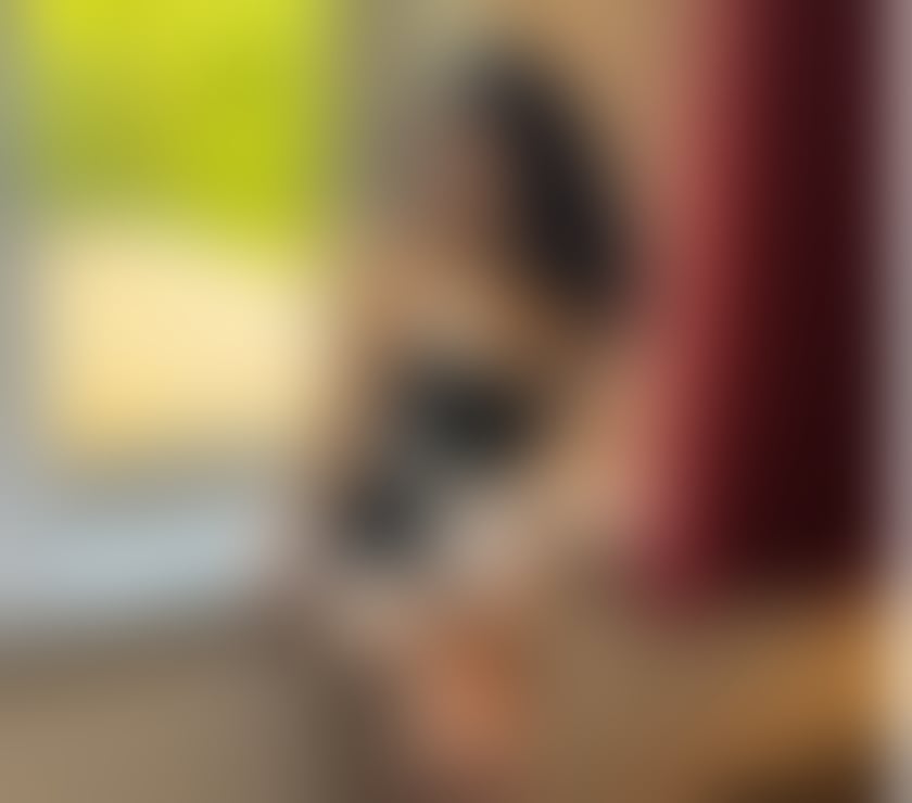 Escorts North West London Colindale - North West London - Photos for Amanda 🍑BRAZILIAN HOT🇧🇷TROPICAL BEAUTY