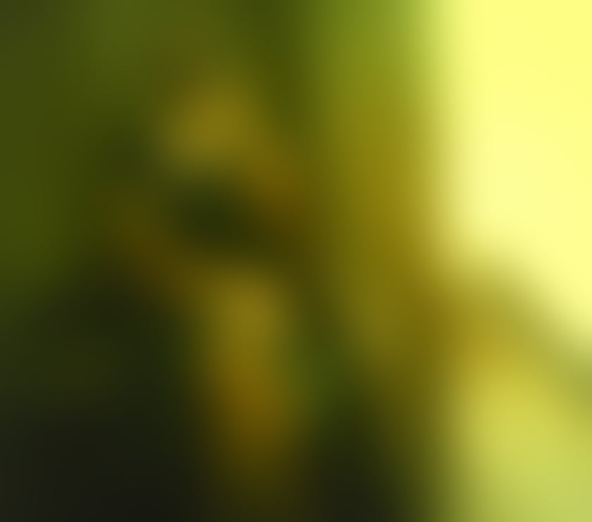 Gay Dating Acocks Green Birmingham - Photos for crossdresser looking for a man who likes mature cd