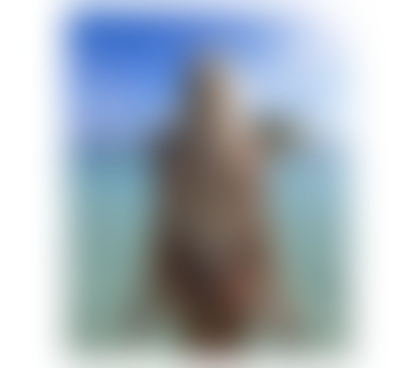 Escorts Reading Reading Town Centre - Reading - Photos for ❤️❤️OUTCALL ONLY❤️❤️