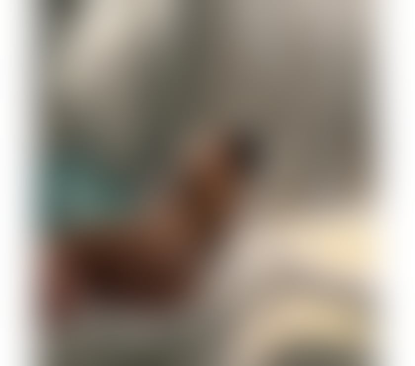 Escorts West London Hillingdon - Photos for 🇬🇧REAL LATINA BADDIE💘5’3 QUEEN👸BIG🍑