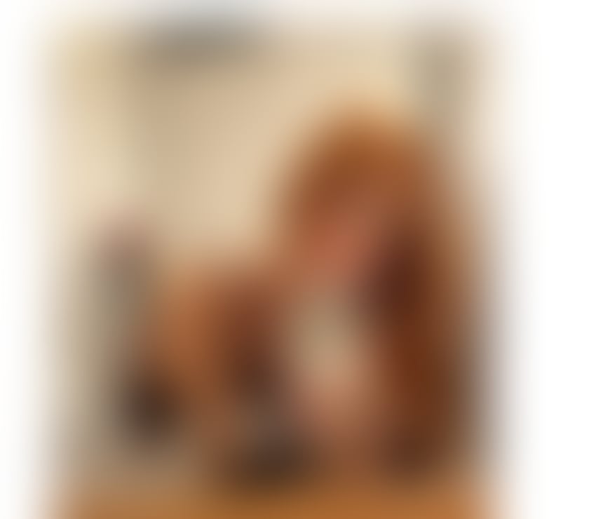 Escorts Devon Plymouth - Photos for ✨ ISA BRAZILIAN 🇧🇷🔥TRANS 🏳️‍⚧️🍆