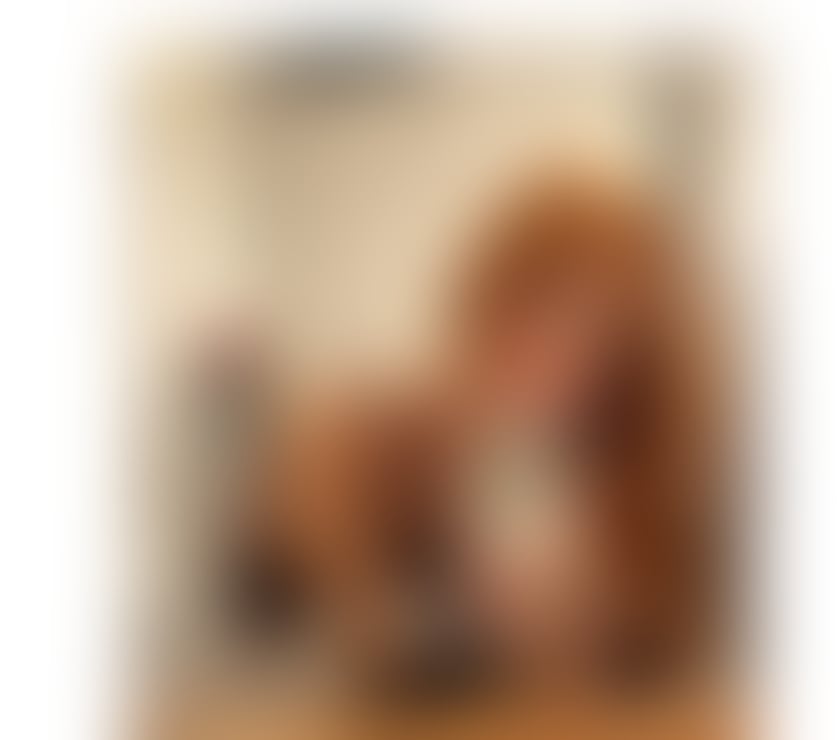 Trans Escorts Devon Plymouth - Photos for 🇧🇷 ISA BRAZILIAN ✨ VERY HOT 🫦🔥