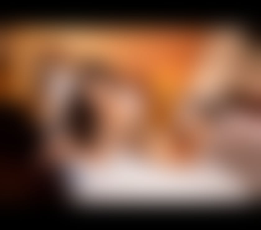 Escorts County Durham Darlington - Photos for ♥️Brazilian♥️🇧🇷the perfect GF🌹♥️