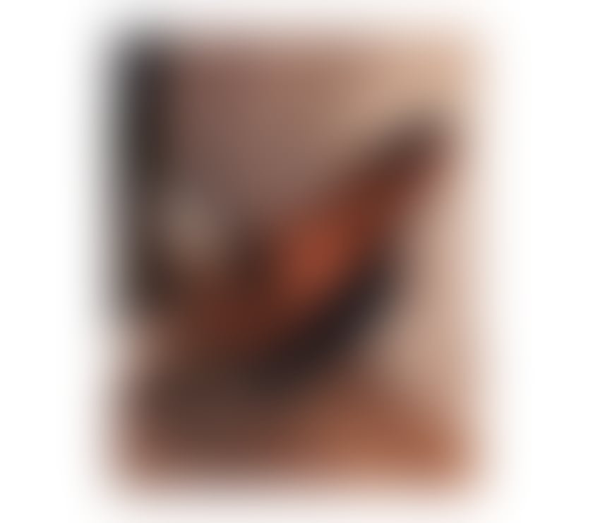 Escorts Nottinghamshire Mansfield - Photos for new girl in town