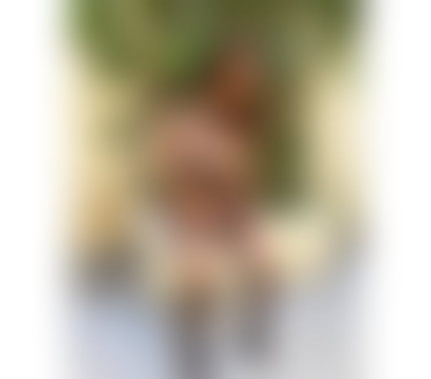 Escorts West Yorkshire Bradford - Photos for New in town Best owo and kiss 🥰😘