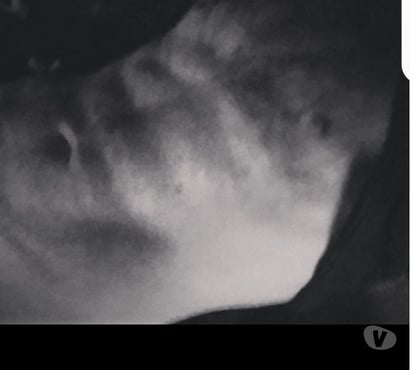 Gay Escorts Bacup Rossendale - Photos for Fun or just meet for chats