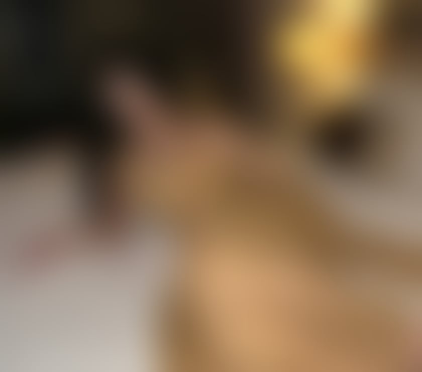 Escorts Merseyside Liverpool - Photos for Hello im aisha Pakistani escort party 24 7 only 2 days here