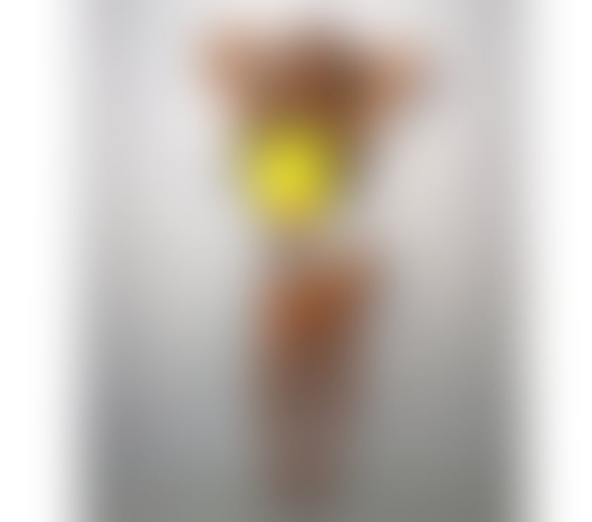 Escorts Central London Marylebone - Central London - Photos for Your Party Girl Girlfriend 💋🥂