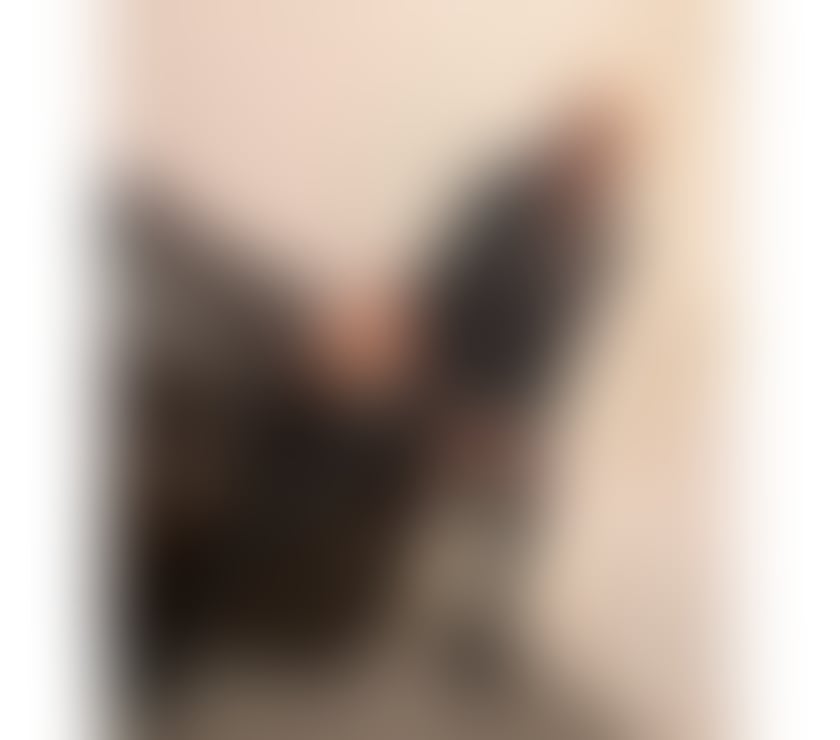 Escorts Brent Wembley - Brent - Photos for ❤️SEXY JESSICA IN TOWN❤️