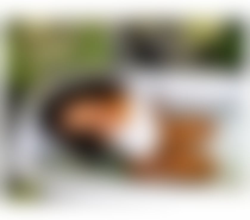 SEXXY BRAZILIAN 🇧🇷🇧🇷🇧🇷