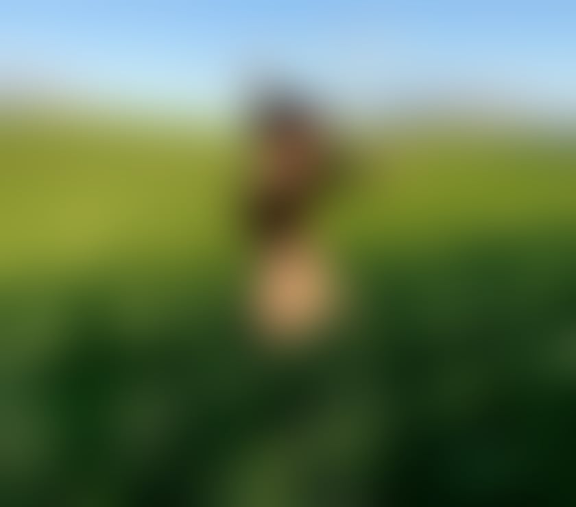 Adult Entertainment Hampshire Southampton - Photos for Extra fun on whatsapp Online now