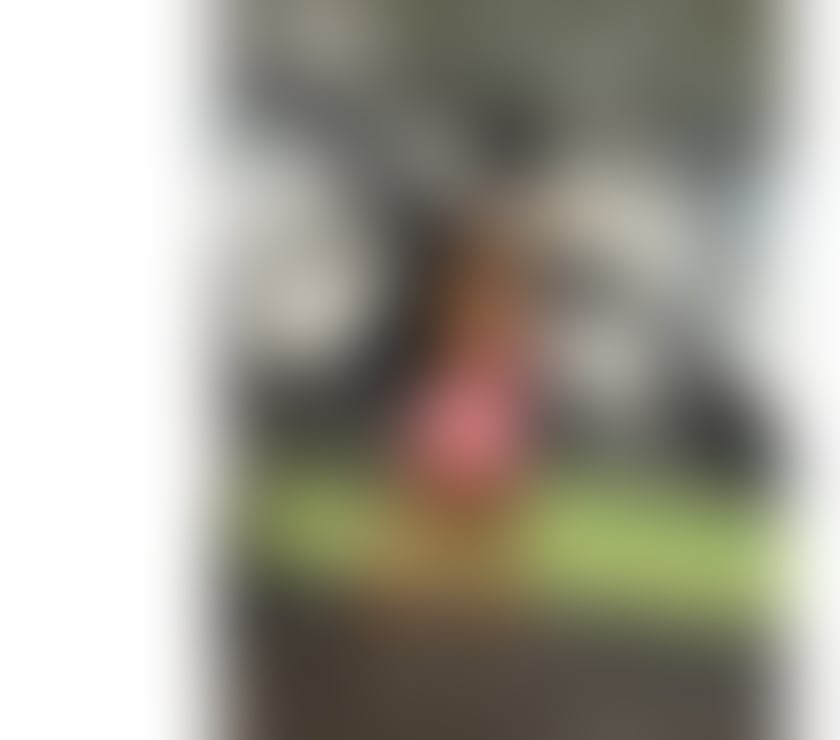 Escorts Central London Fitzrovia - Central London - Photos for ✨ New Brazilian Beauty in Fitzrovia | 100% Real ✨