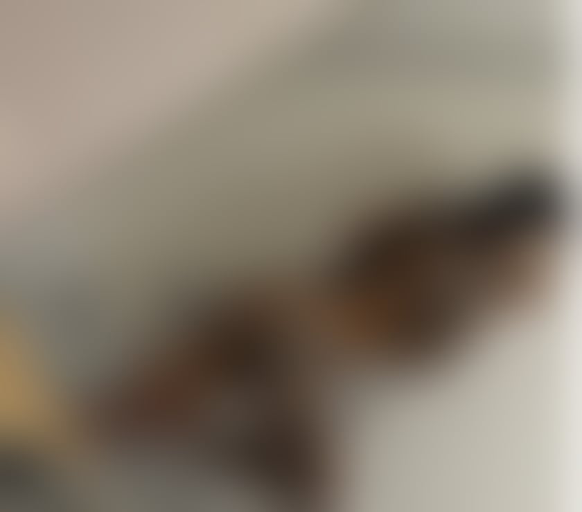 Escorts West Sussex Horsham - Photos for Iris new girl‼️domination🔞party🎉🥂no rush‼️