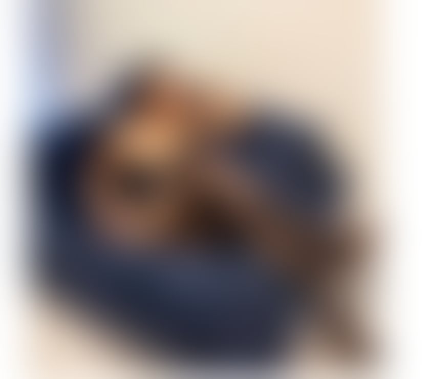 Escorts Derbyshire Derby - Photos for Hi Guys I'm Jessica Thai Escort B2B massage