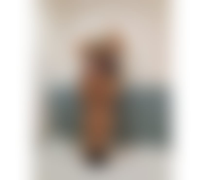 Escorts Hertfordshire Watford - Photos for POLISH BLONDE Vanessa * OWO * GFE * FRENCH KISSING *