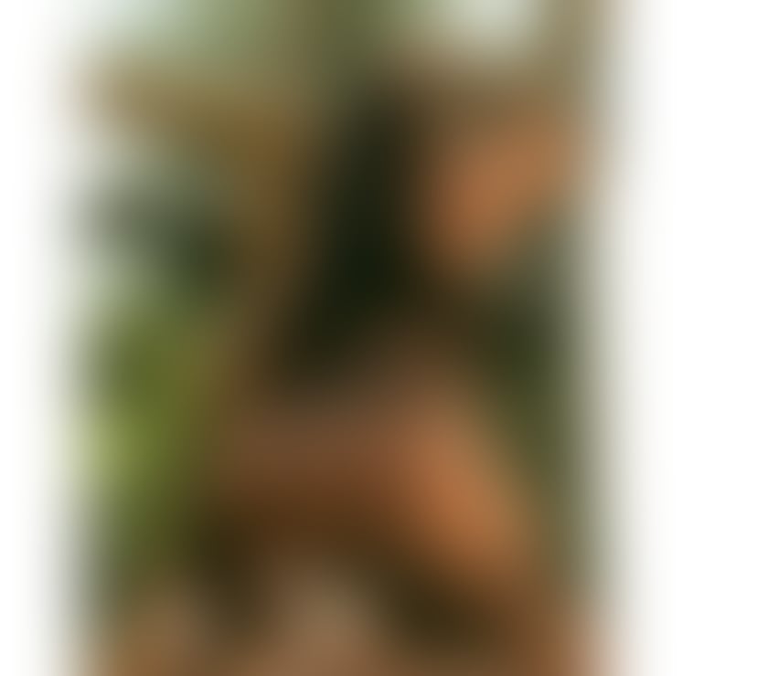 Escorts Shropshire Shrewsbury - Shropshire - Photos for 🔞🇧🇷MELISSA IN TOWN 🆕 GFE 🔞REAL PIC