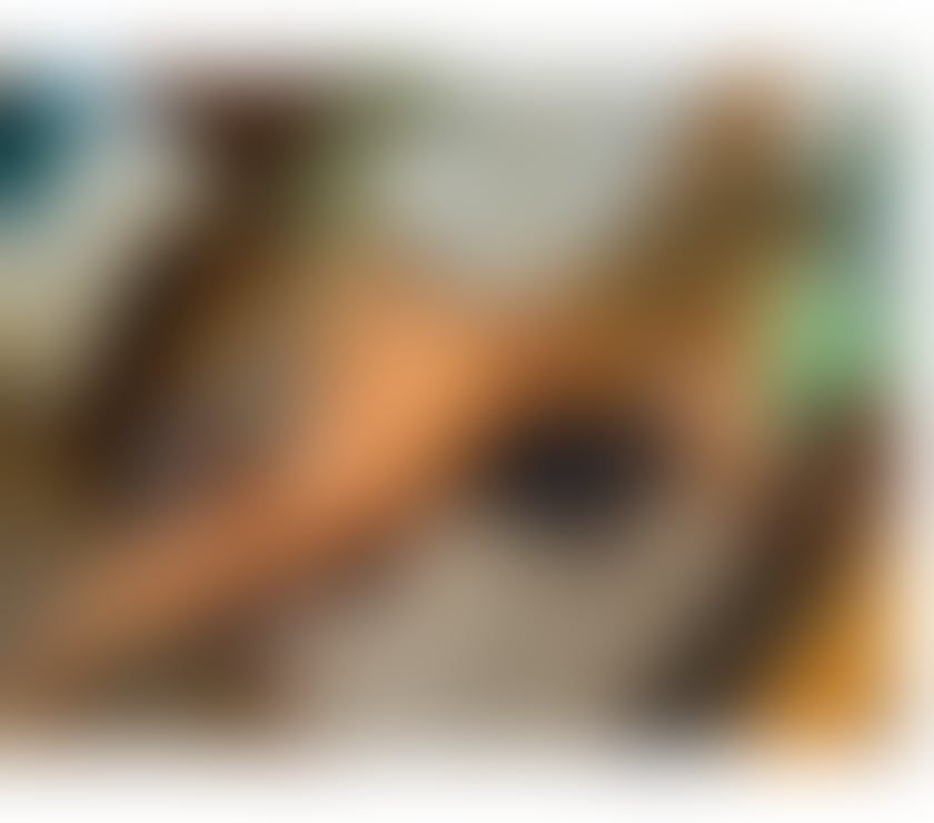 Escorts Peterborough Peterborough City Centre - Peterborough - Photos for Dani natural body 🇧🇷🔥🍑