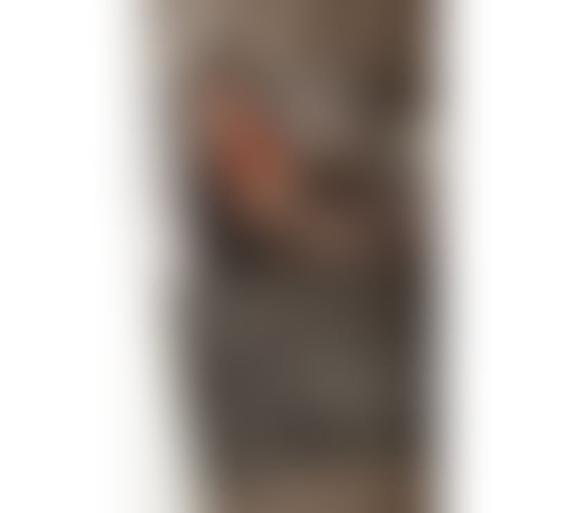 Escorts Buckinghamshire Milton Keynes - Photos for Half British half German x NEW Emy in Milton