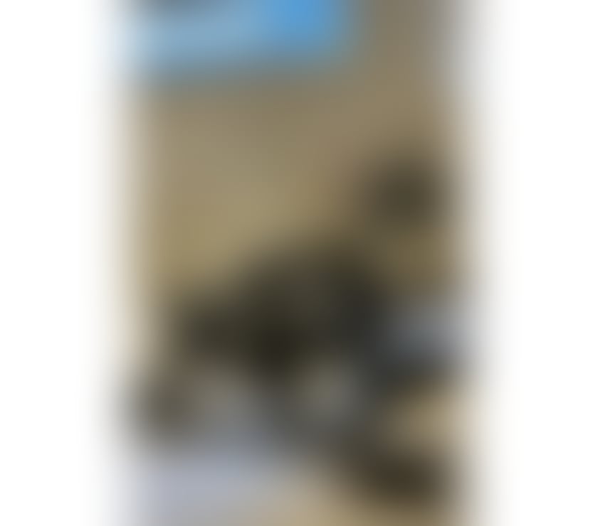 Escorts East London Canary Wharf - East London - Photos for July 🤩🥰😍 OUTCALL💖💋