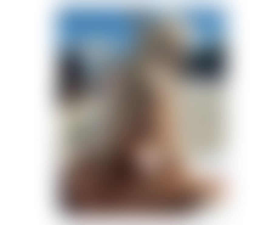 Escorts Bracknell Forest Bracknell - Bracknell Forest - Photos for 🌶️💦NEW delicious!!! Sound goood!!! Party💦🌶️