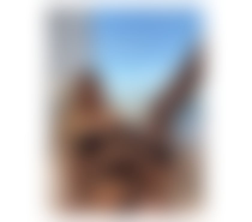 Escorts Greater Manchester Bolton - Photos for Rosalia 🎉 New In Town Party