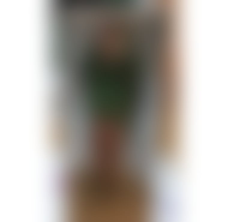 Polish Lisa, Exeter, Authentic GFE Real Photos Discreet Flat