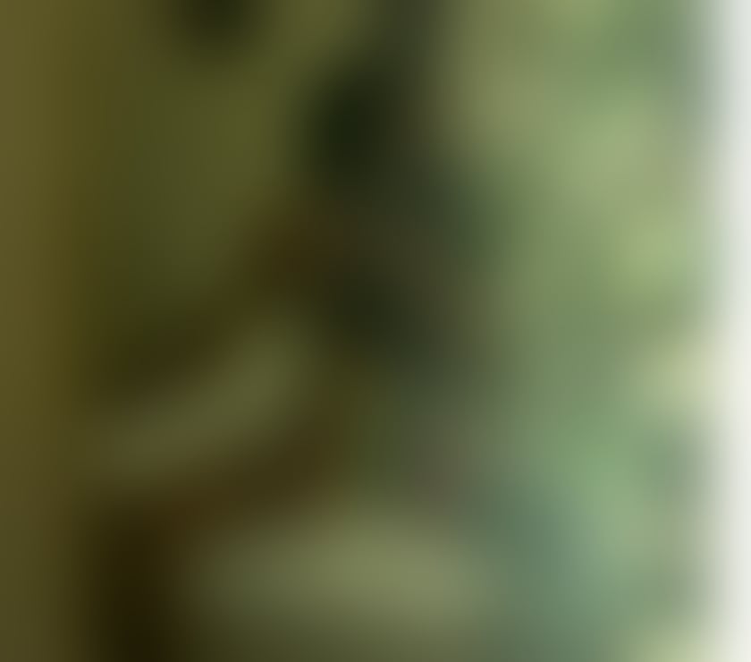 Escorts Bedfordshire Bedford - Photos for OPEN 24H🔥TRANS❤ MASSAGE🔥candela party 24h