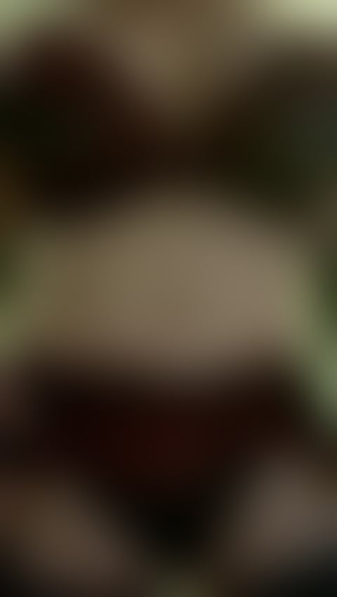 Escorts Edinburgh Edinburgh - Edinburgh - 