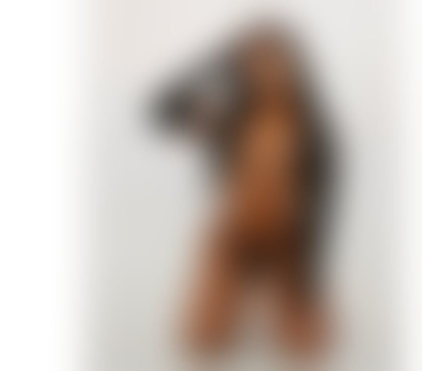 Escorts Dorset Bournemouth, Christchurch and Poole - Photos for Brunette Brazilian party girl 🎊