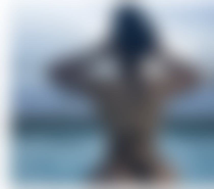 Escorts North West London Harrow - Photos for LAURA CASH ONLY💸A-LEVEL💦OWO💋KISS NO RUSH