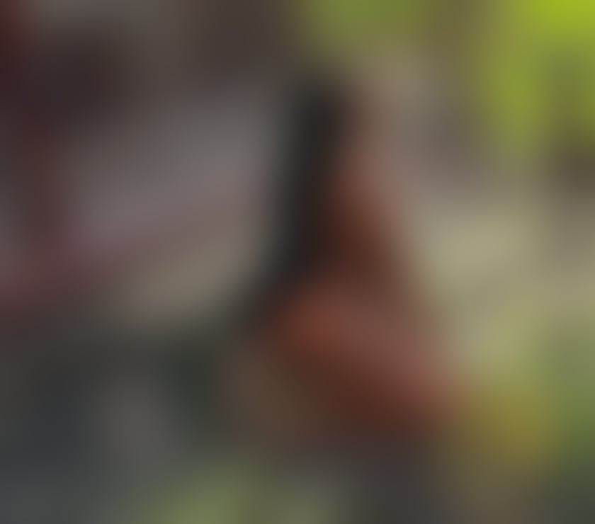 Escorts Kent Medway - Kent - Photos for Beautiful Ebony❤️GFE🔥0wO ⭐️full service