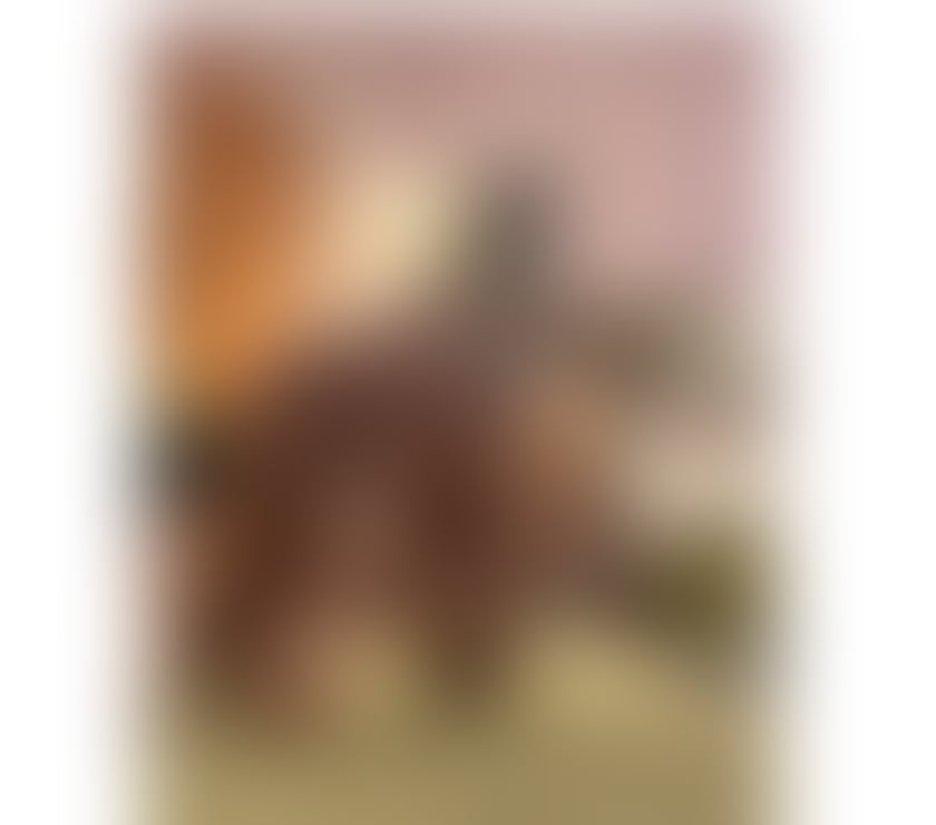 Escorts Derbyshire Derby - Photos for Girl hot party Brazilian🔥🔥👅👅🇧🇷🍾