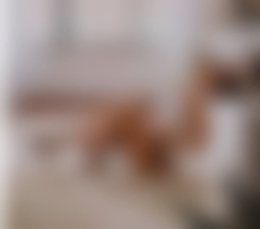 Escorts West London Hammersmith - West London - Photos for AMANDA BRAZILIAN 🇧🇷 PARTY GIRL