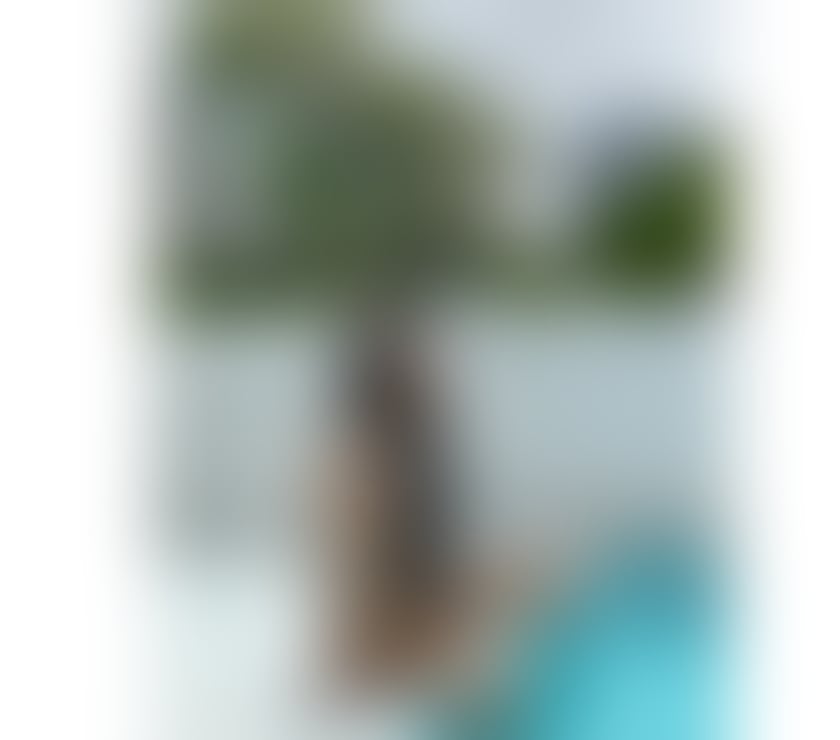 Escorts South West London Sutton - Photos for New❤️‍🔥sexy Thai girl Ellie in Sutton now💓