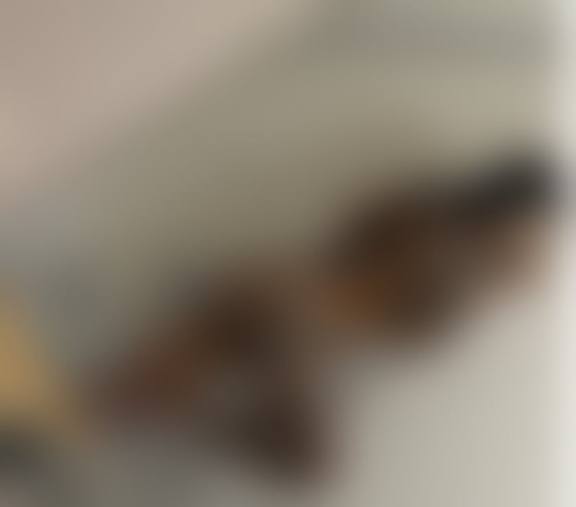 Escorts East Sussex Brighton - Photos for Aris new girl‼️party🎉🥂domination🔞no rush‼️