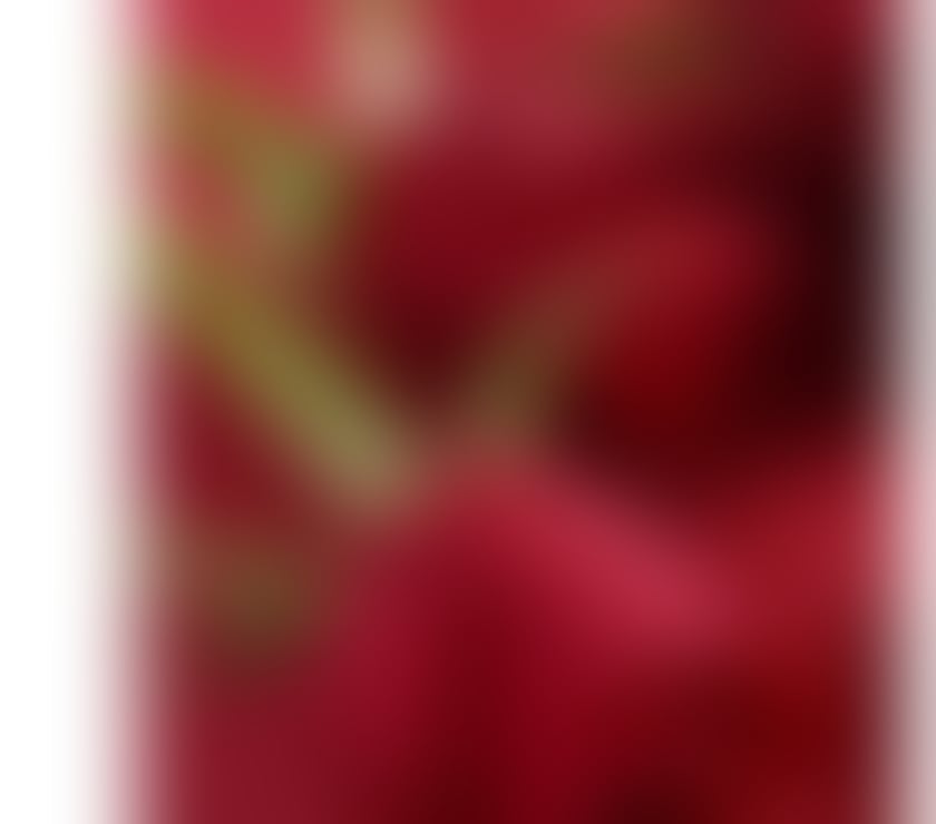 Escorts Highland Inverness - Highland - Photos for The Ultimate Full-Body Massage Experience