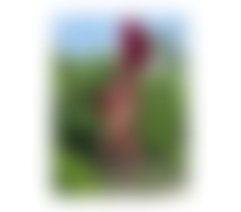 Trans Escorts Laindon Basildon - Photos for ÍNDIA HOT XXL 🍆 PARTY 🎊🎉