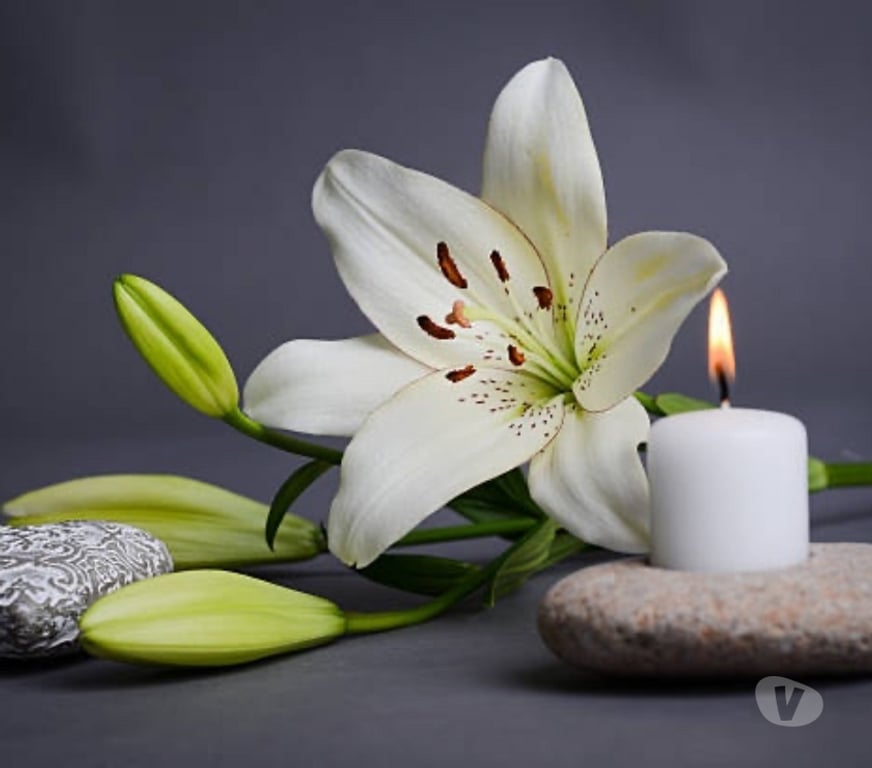 Full body massage North London Turnpike Lane - North London - Photos for Relaxing Swedish Massage