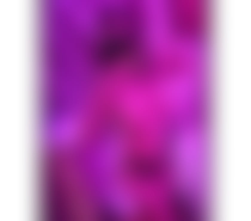 The best girl in town!!