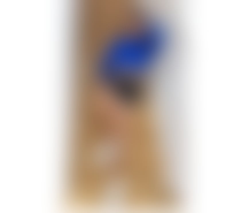 ELENA PARAGUAYAN PARTY GIRL ♥️