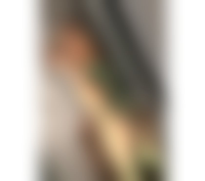 New end town party GIRLS JUST OUTCAL