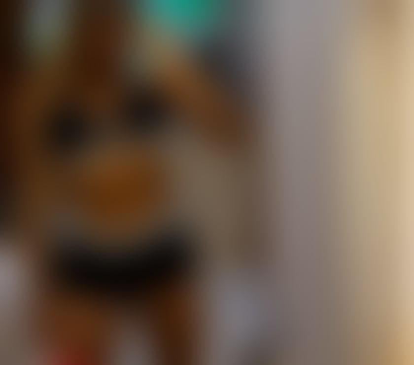 🔥🔥HOT Girl BRAZILIAN