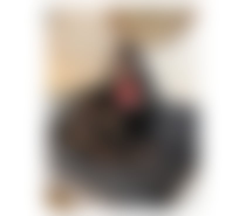 Escorts Essex Harlow - Photos for ❤️💙❤️ Emily New in Town ❤️💙❤️