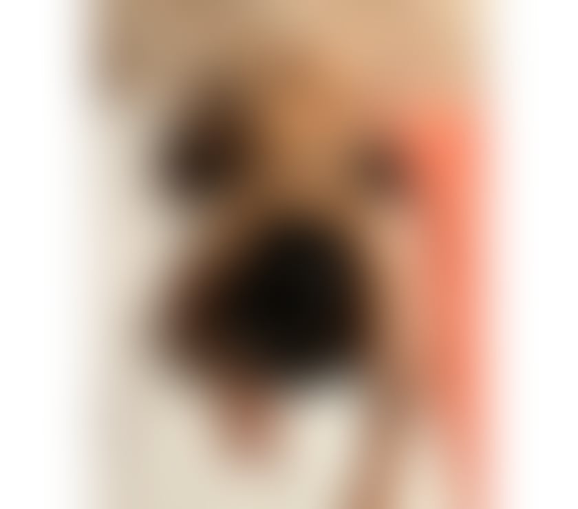 Escorts Nottinghamshire Nottingham - Photos for ❤️Party girl ❤️!!! Call me baby🔥