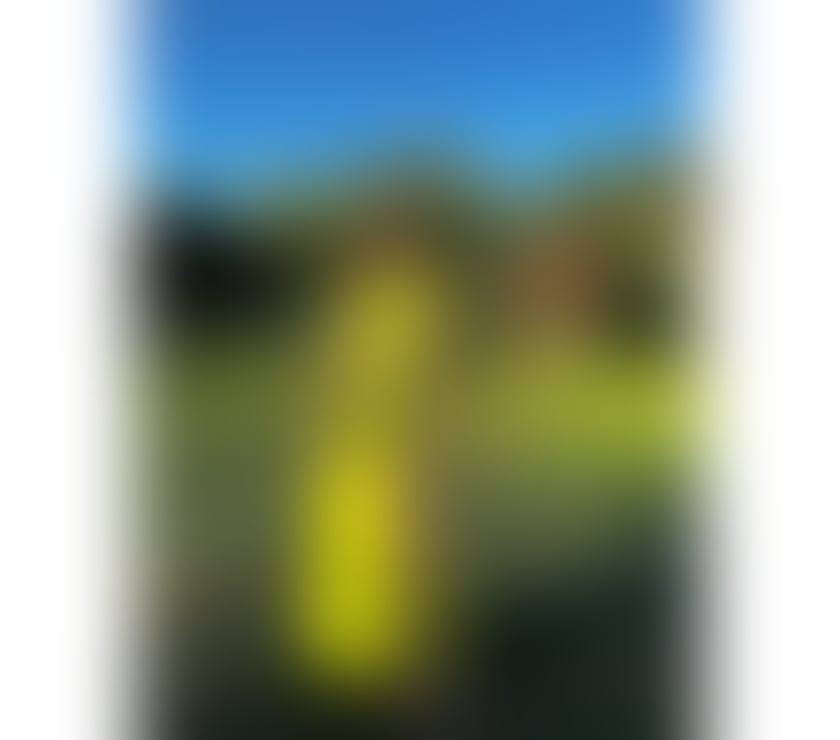 Jasmin ❤️New luxury