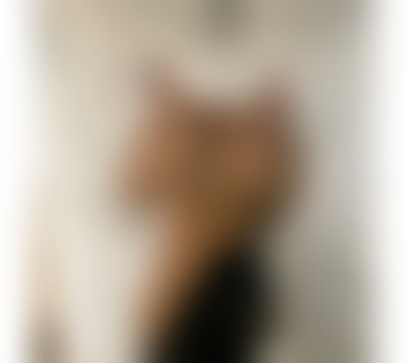 Escorts West Yorkshire Leeds - Photos for Maya❤️ new girls Incal -out cal