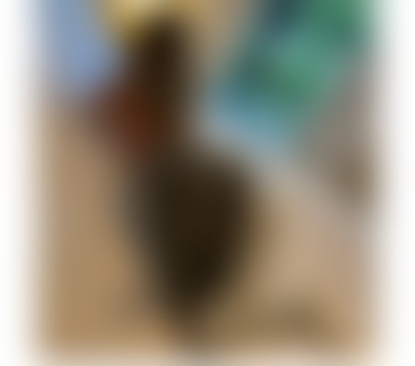 Escorts Tyne and Wear North Tyneside - Photos for CatarinaViP😍🔥new in North Shields🔥😍