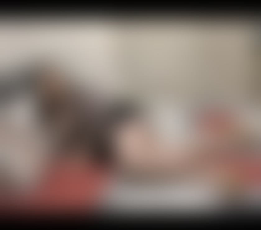 Trans Escorts South Yorkshire Doncaster - Photos for Emma now in town