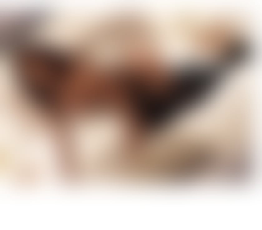 Escorts Staffordshire Stoke-on-Trent - Photos for HI LOVE, I'M LISA, FULL SERVICE! NO RUSH! REAL PIC