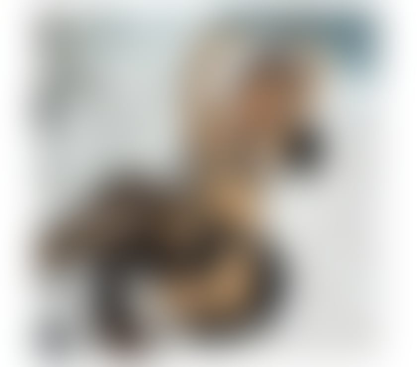 Escorts Nottinghamshire Nottingham - Photos for 🥵 Luxurious escort🥵Rebeca